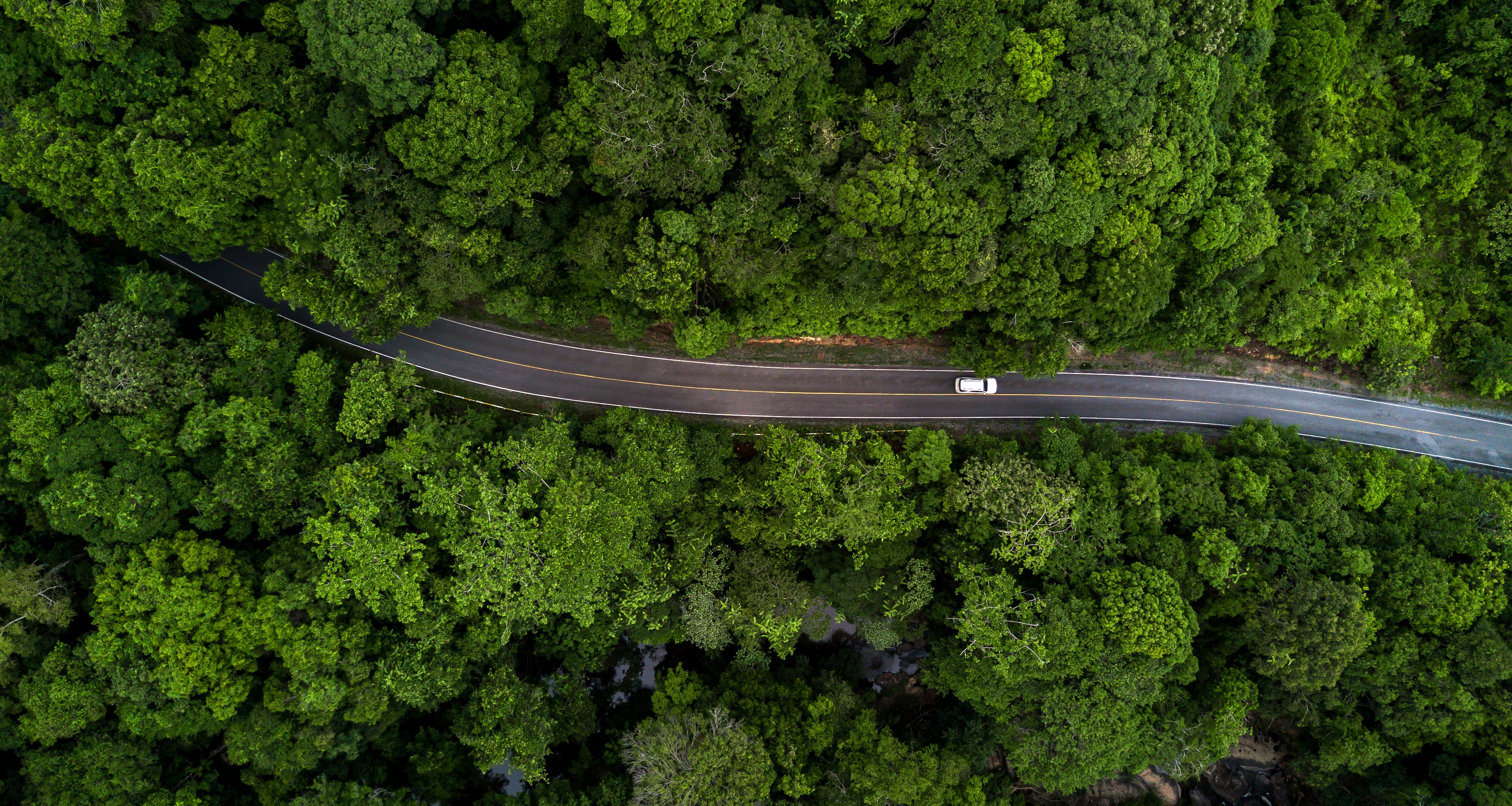 Performance vehicle on an alpine road near Geneva